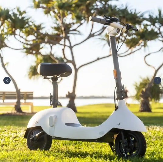 Ceetle Electric Scooter with Convertible Seat – 220lb Capacity, 18-Mile Range, 16MPH Speed, Foldable Design