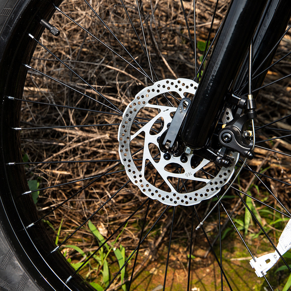 🚴 Professional Electric Fat Tire Bike – 1000W Powerhouse, Built for Legends