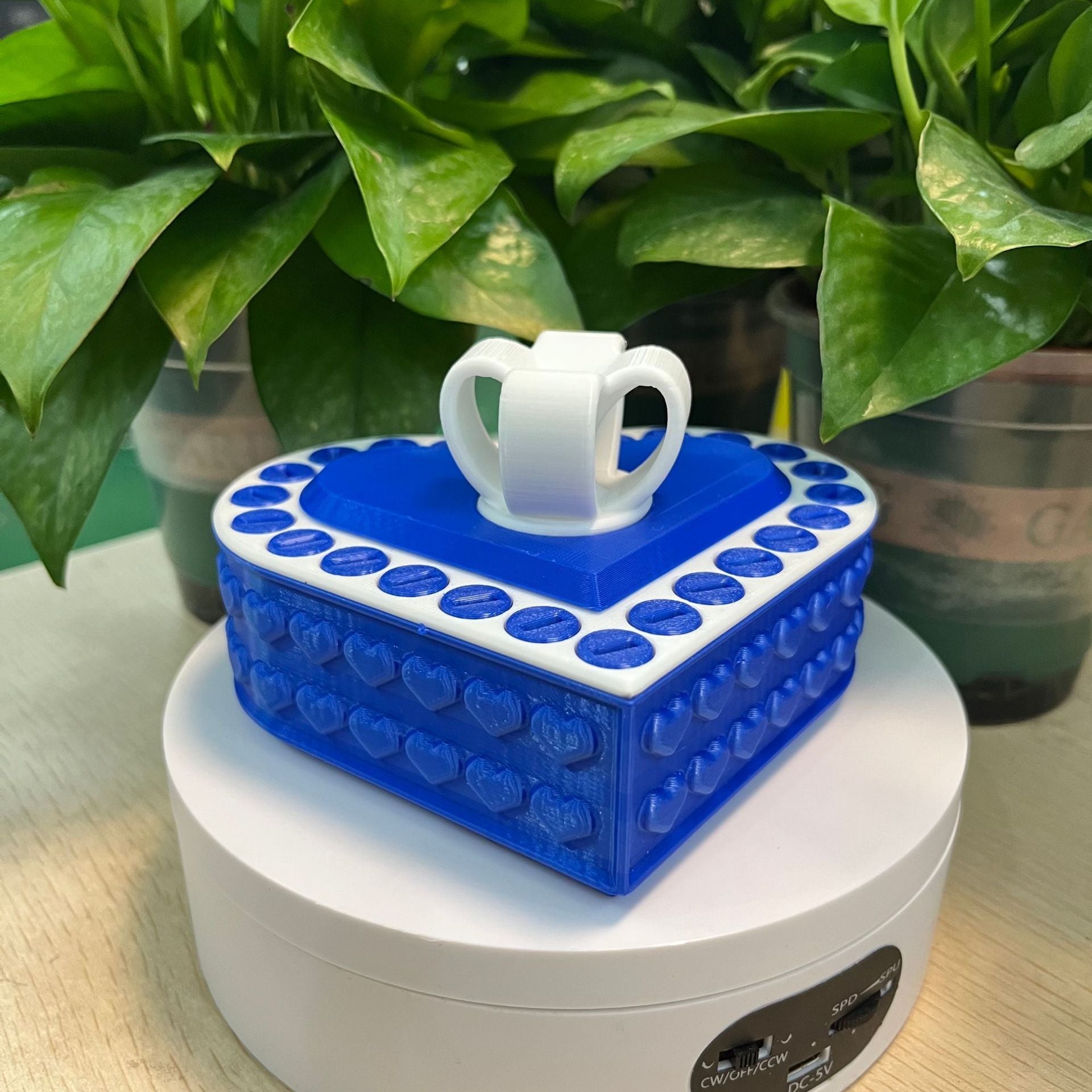 Annoying Heart-Shaped Gift Box