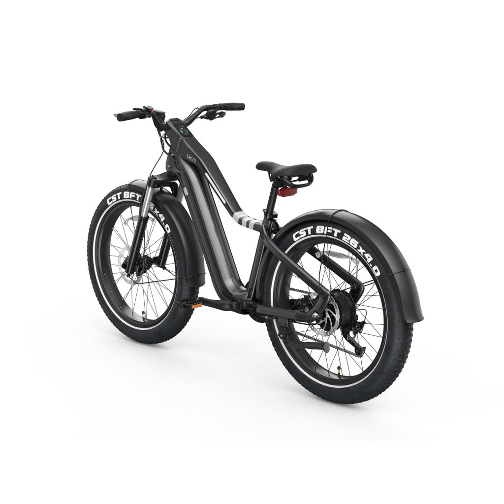 Ranger EB50 Electric Bike | Powerful Motor, Long-Range Battery & All-Terrain Tires – Only at Igotitfirst.store