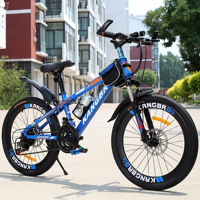 Variable Speed Mountain Bike – Shock Absorption, Dual Disc Brakes, Painted Frame, Inner Sticker Design