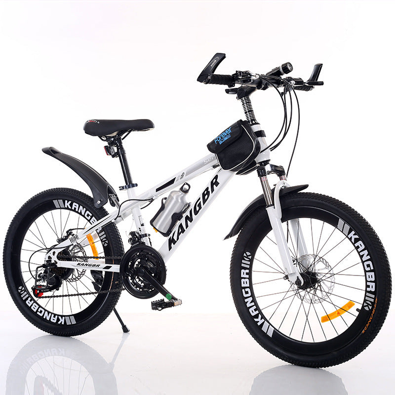 Variable Speed Mountain Bike – Shock Absorption, Dual Disc Brakes, Painted Frame, Inner Sticker Design