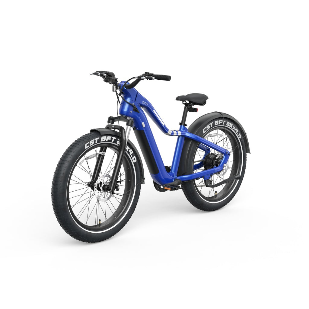 Ranger EB50 Electric Bike | Powerful Motor, Long-Range Battery & All-Terrain Tires – Only at Igotitfirst.store