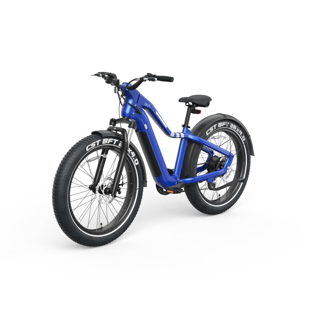 Ranger EB50 Electric Bike | Powerful Motor, Long-Range Battery & All-Terrain Tires – Only at Igotitfirst.store