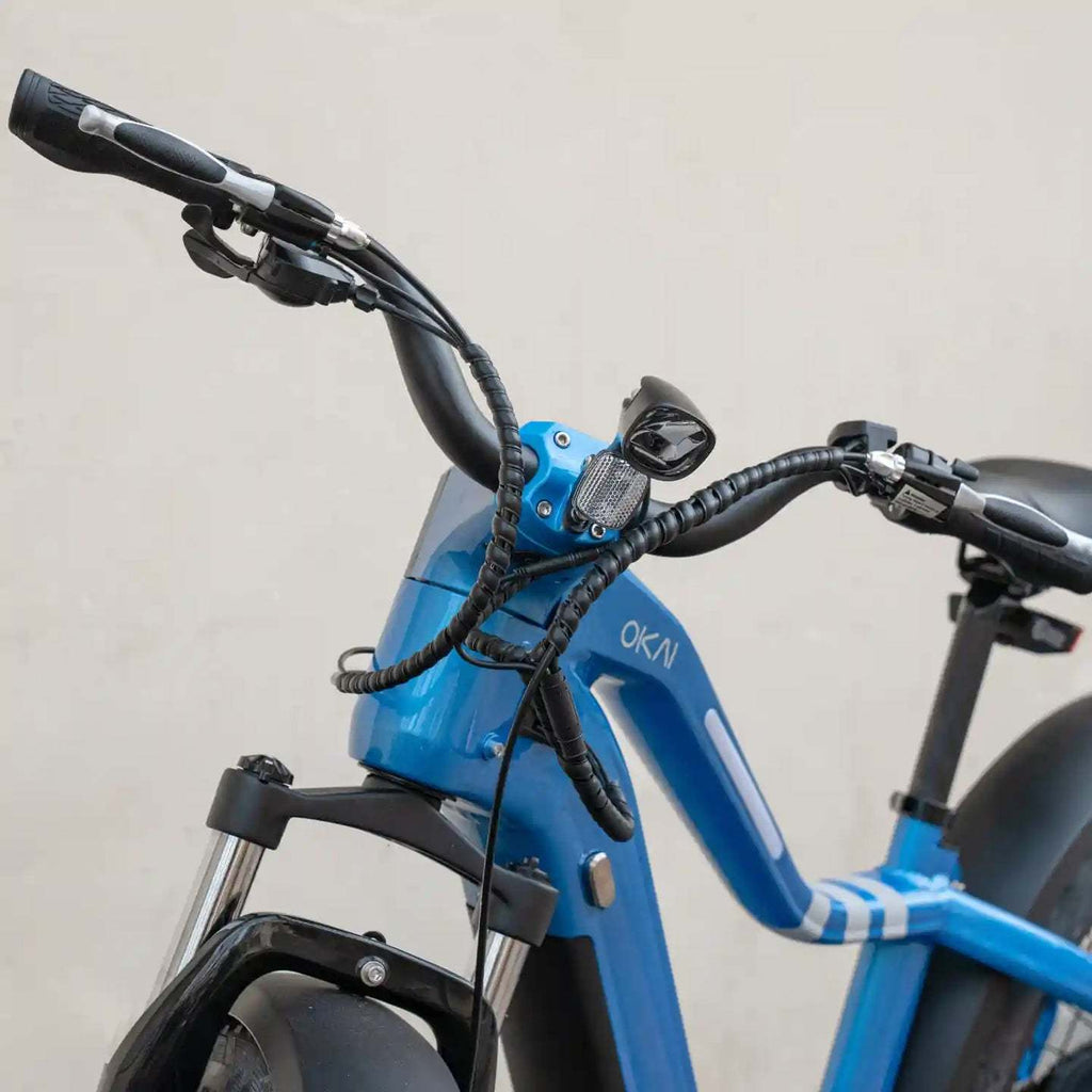 Ranger EB50 Electric Bike | Powerful Motor, Long-Range Battery & All-Terrain Tires – Only at Igotitfirst.store