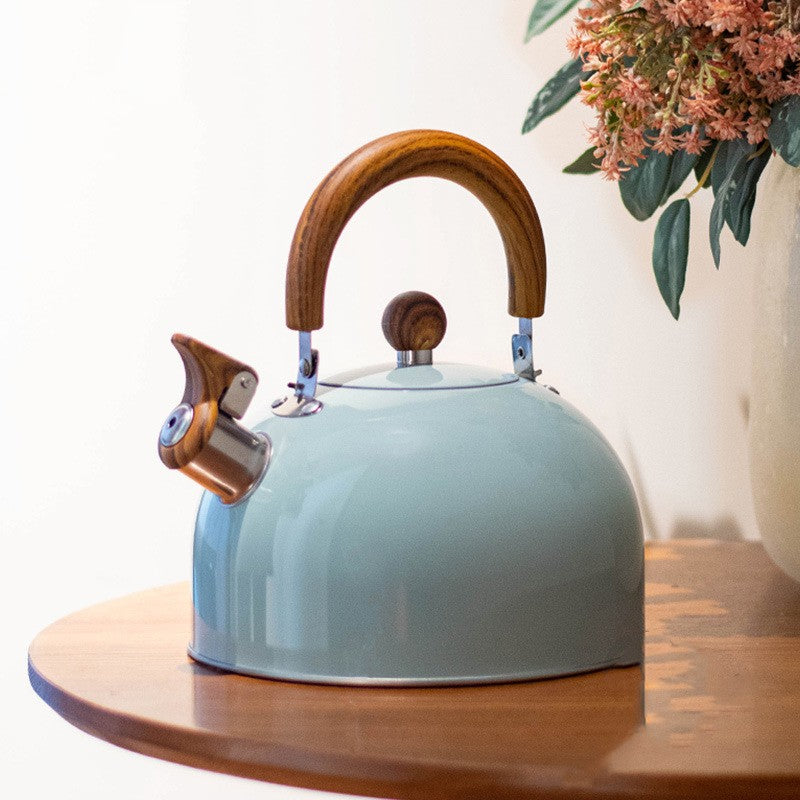 Stainless Steel Sky Gray Whistle Kettle with Folding Handle – Fast Boil, Heat-Resistant Design