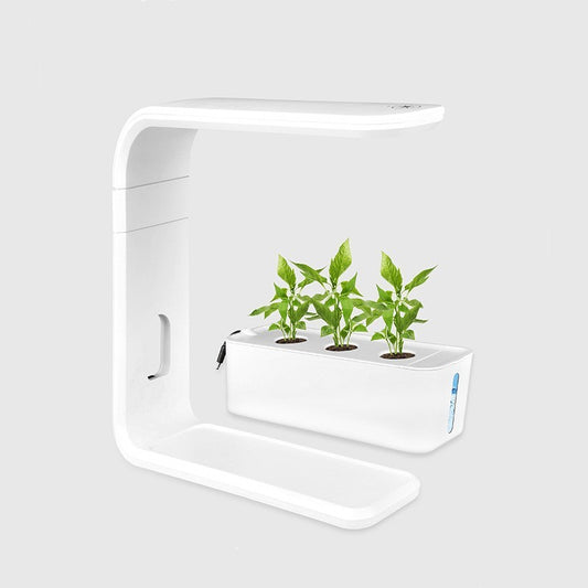 E Indoor Smart Plant & Vegetable Planter – Hydroponic System for Home & Office, Self-Watering, LED Grow Lights