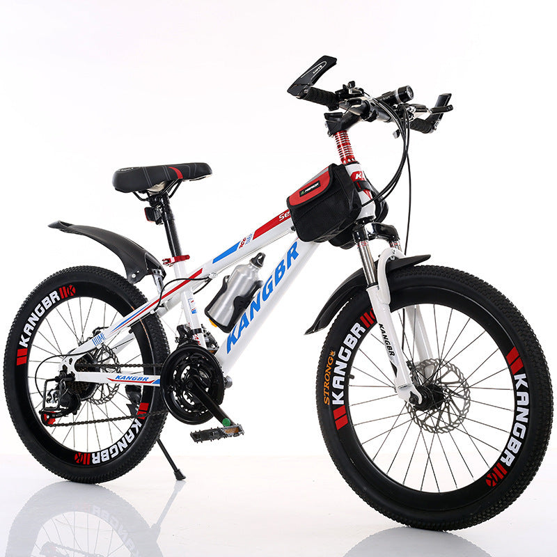 Variable Speed Mountain Bike – Shock Absorption, Dual Disc Brakes, Painted Frame, Inner Sticker Design
