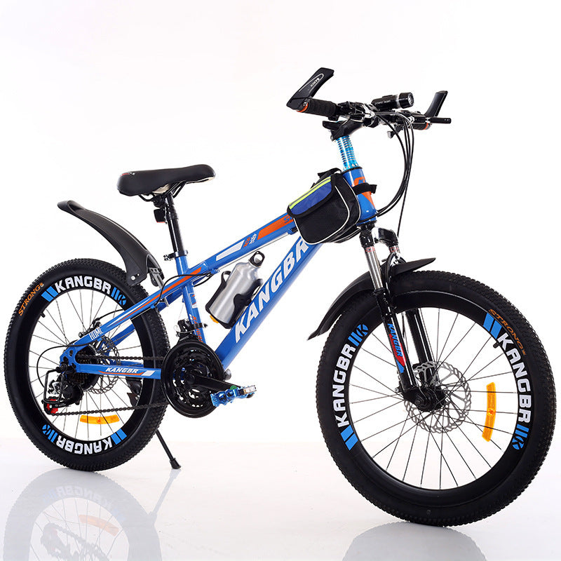 Variable Speed Mountain Bike – Shock Absorption, Dual Disc Brakes, Painted Frame, Inner Sticker Design