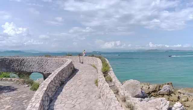 Personal Electric Scooter – 36V 350W Foldable Commuter Scooter for Adults